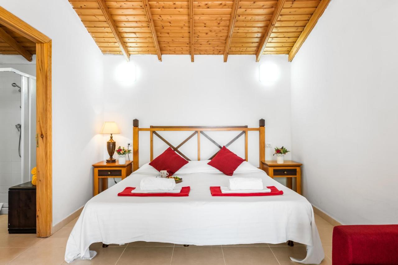 101 Bright, Pool View And Air Conditioning Playa de las Americas (Tenerife) Exterior photo